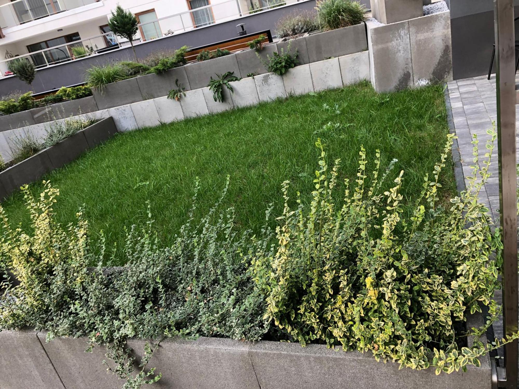 Komfortowe Apartamenty Kielce Klonowa ,Ogrodek, Garaz Podziemny, Samodzielne Wejscie Na Kod 24H Εξωτερικό φωτογραφία